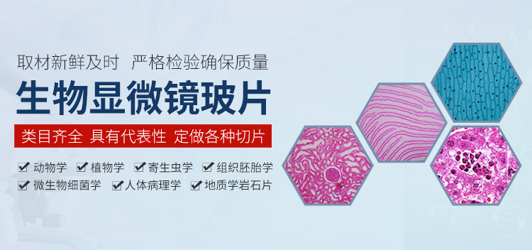 河南智学教育装备有限公司