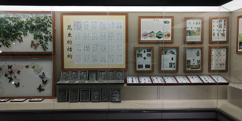 展馆效果