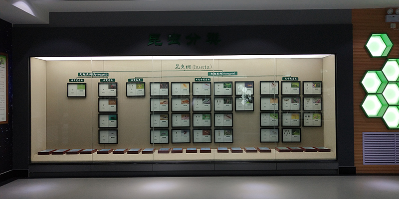 展馆效果