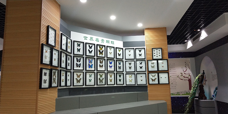 展馆效果