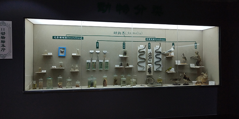 展馆效果