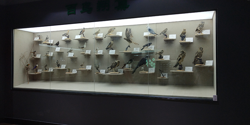 展馆效果