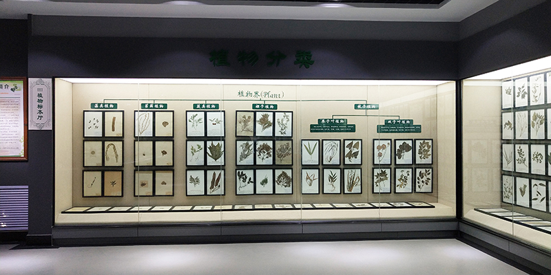 展馆效果