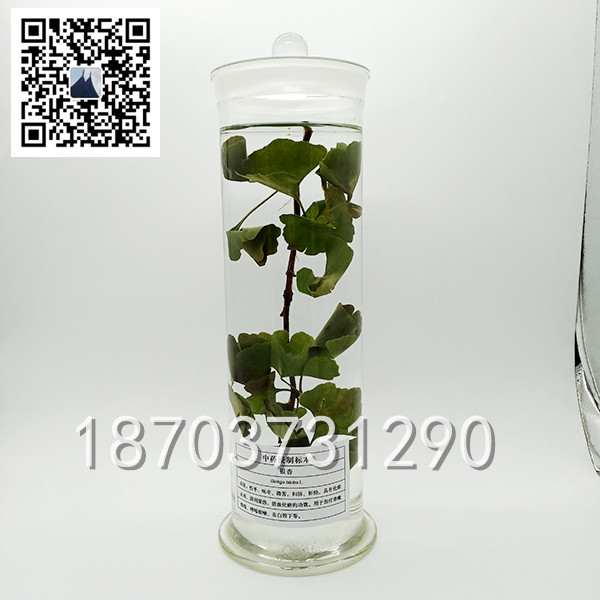 中草药标本 (1)