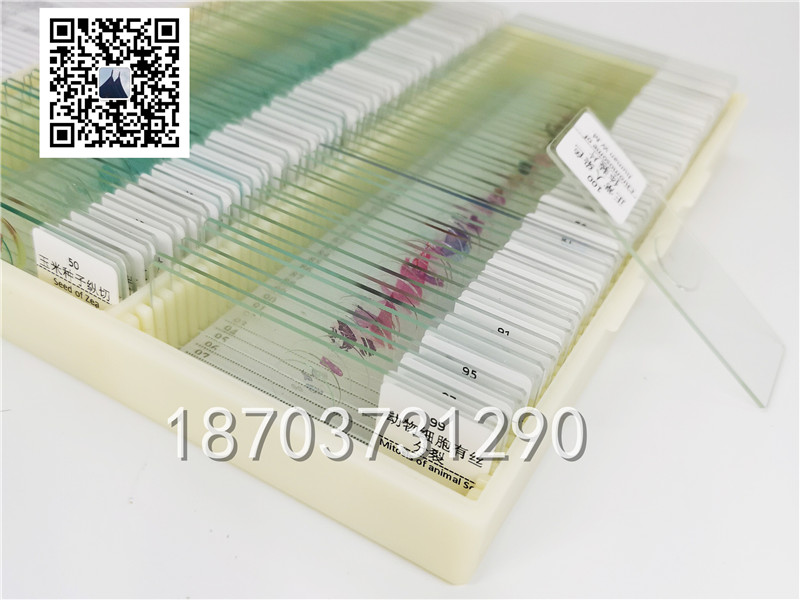 生物切片标本