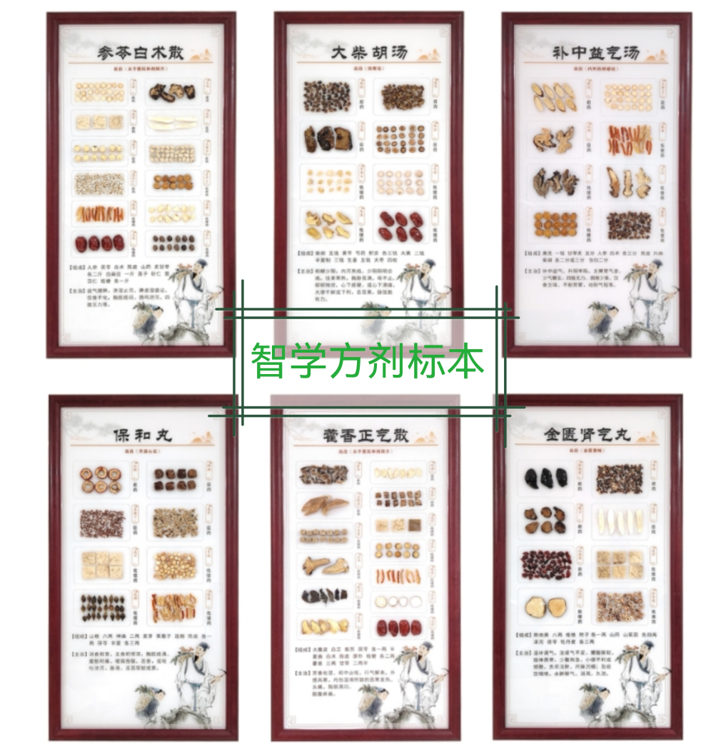 中药方剂标本