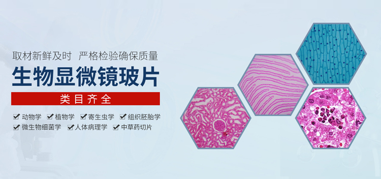 河南智学教育装备有限公司