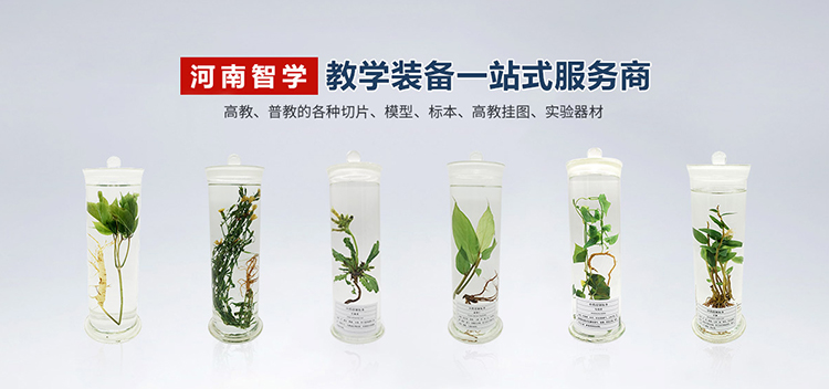 河南智学教育装备有限公司